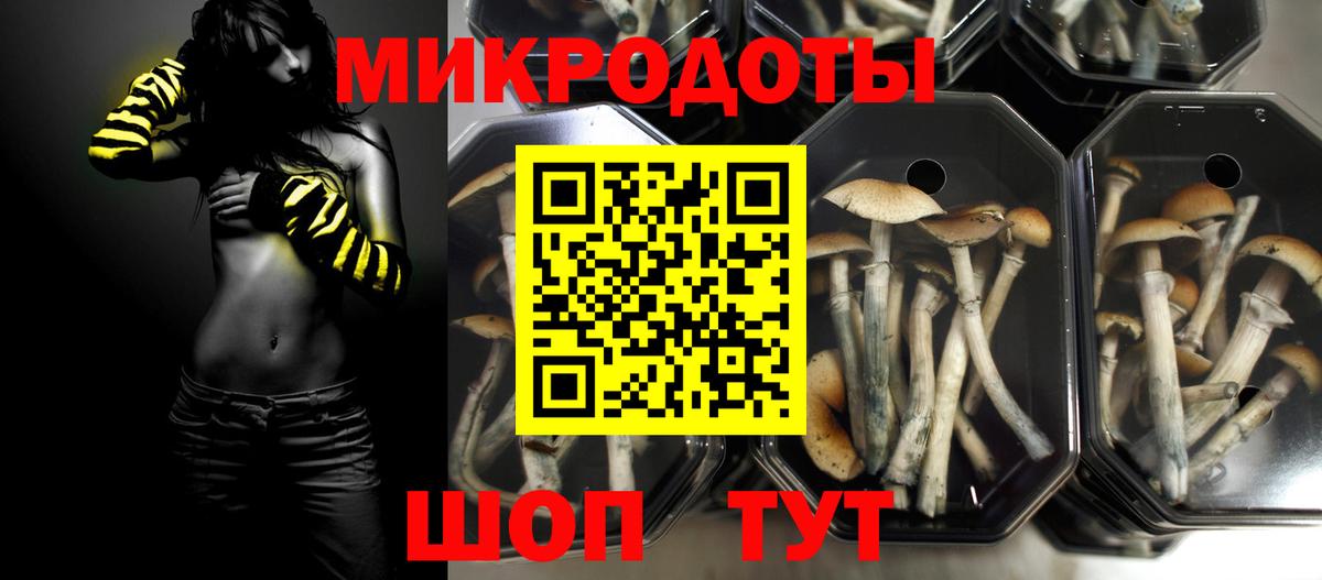 Советск  Галлюциногенные грибы Psilocybine cubensis  Вход с VPN 